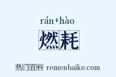 燃耗是什么意思的图片